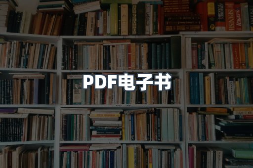 PDF电子书